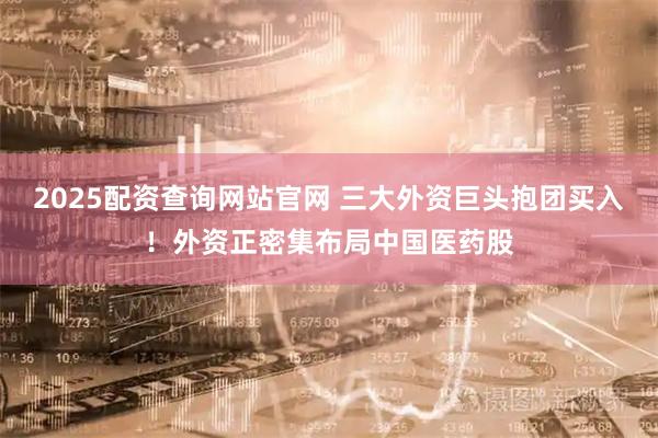 2025配资查询网站官网 三大外资巨头抱团买入！外资正密集布局中国医药股